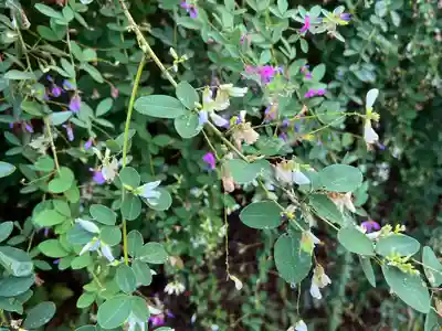 常林寺(京都府)
