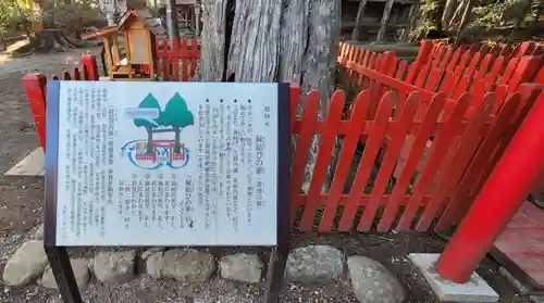 涼ケ岡八幡神社の歴史