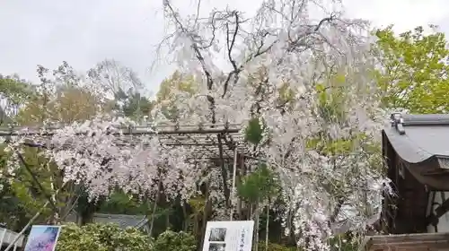 賀茂別雷神社（上賀茂神社）の庭園