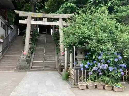 王子稲荷神社の鳥居