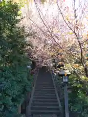 新羽杉山神社の自然