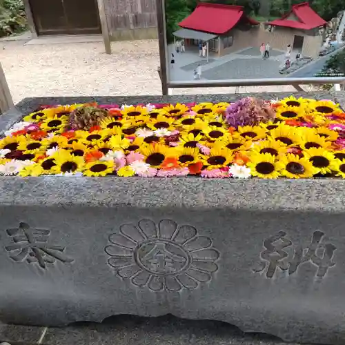 金蛇水神社(宮城県)