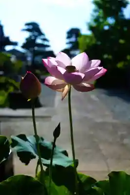 法源寺(山梨県)