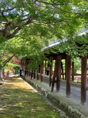 東福禅寺(東福寺)(京都府)