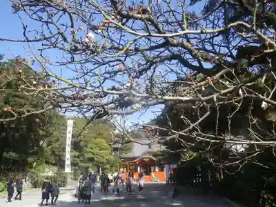 鶴岡八幡宮のその他建物