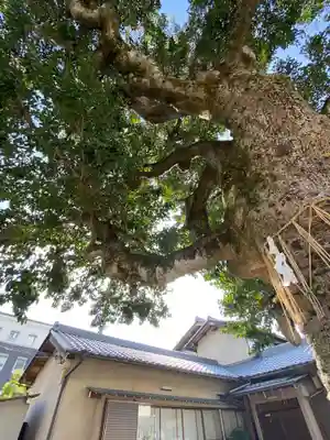 金札宮のその他建物