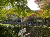 化野念仏寺(京都府)