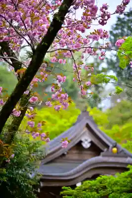 高幡不動尊　金剛寺(東京都)