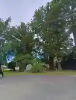 鹿島神社(茨城県)