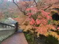 鰐淵寺(島根県)