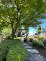 白山神社(埼玉県)