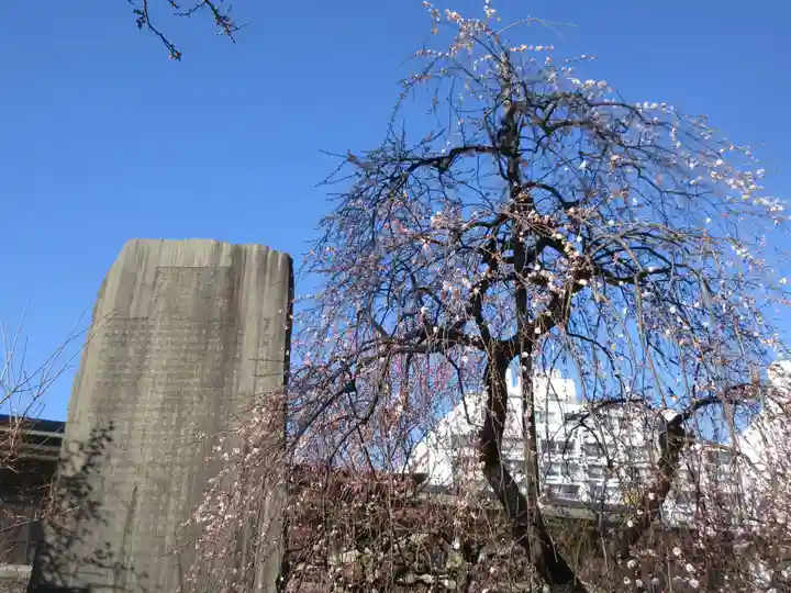 湯島天満宮(東京都)