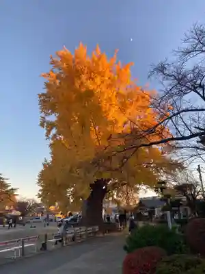 時宗総本山 遊行寺（正式：清浄光寺）(神奈川県)