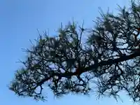 西方山極楽寺(岐阜県)