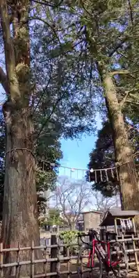 神明大神宮(神奈川県)