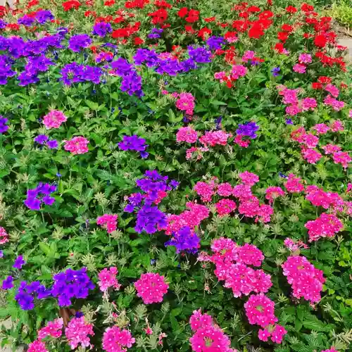 多治速比売神社の自然