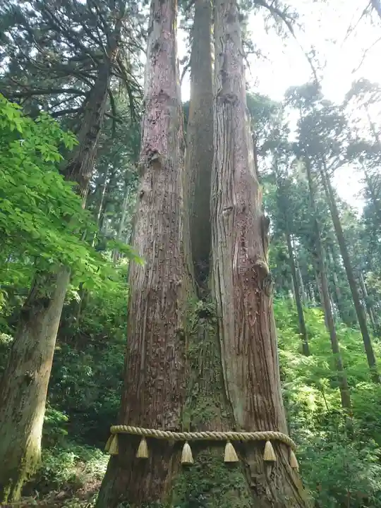 御岩神社の自然