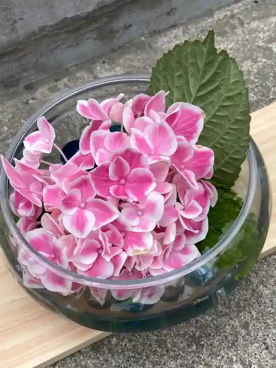 札幌諏訪神社の手水舎