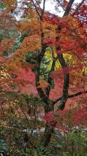 長岡天満宮(京都府)