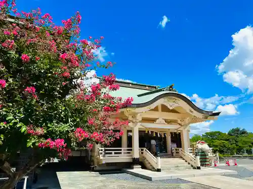 岡山神社の本殿