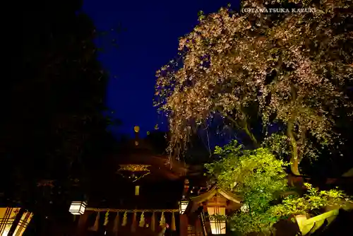 子安神社(東京都)