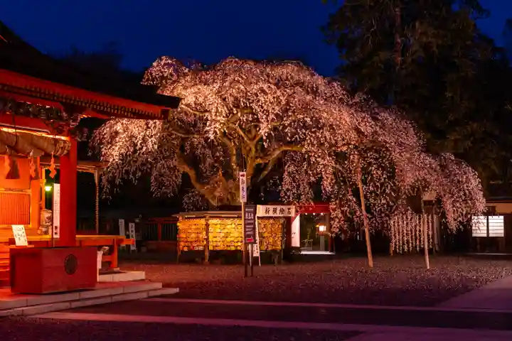 富士山本宮浅間大社(静岡県)