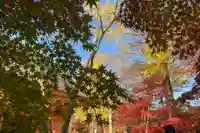 淨眞寺(東京都)