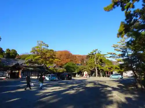 長浜八幡宮(滋賀県)
