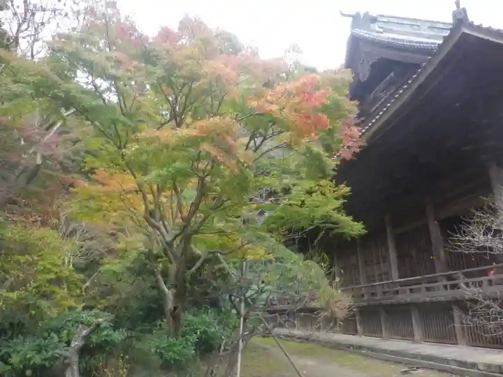 妙本寺の本殿・本堂