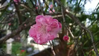 稲荷神社(村松原)(静岡県)