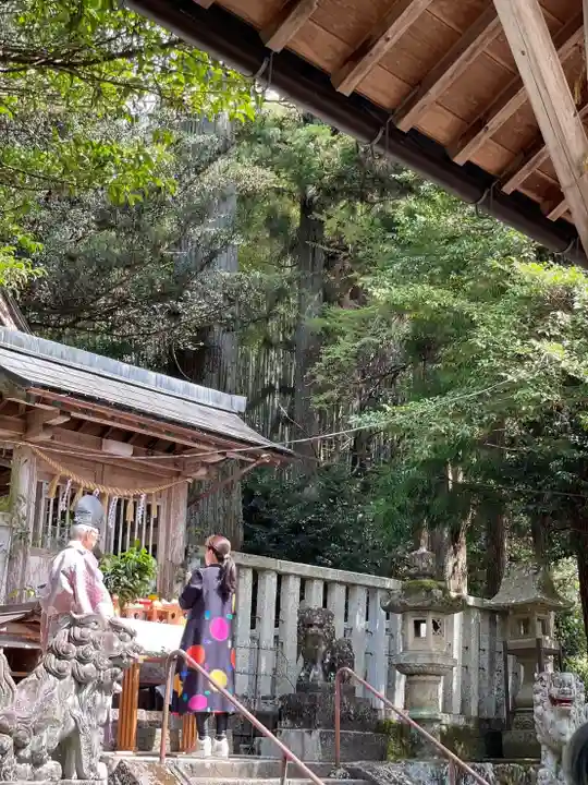 天鷹神社(岐阜県)