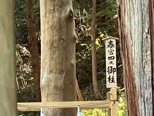 諏訪大社下社春宮(長野県)