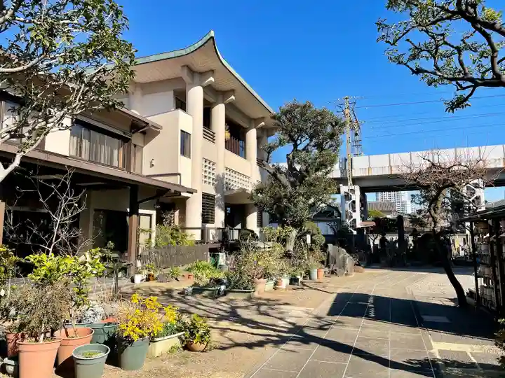 妙蓮寺(東京都)