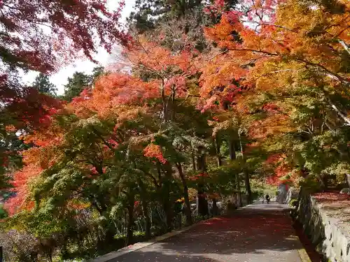 勝尾寺の自然