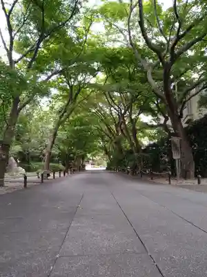 高円寺(東京都)