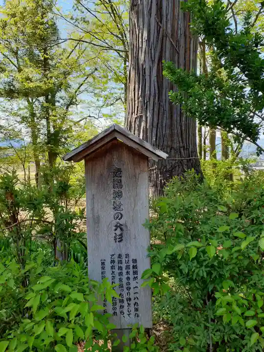 走湯神社の自然