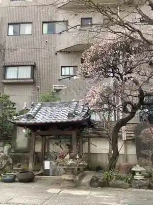 成就院の手水舎