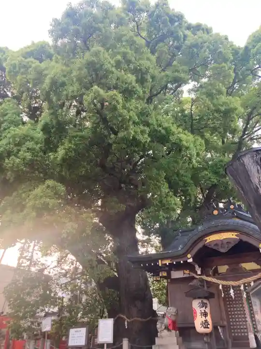 春日神社の{uncategorized: "未分類", other: "その他", undefined: "問題あり", building: "その他建物", grave: "お墓", sacred_gate: "鳥居", guardian: "狛犬", statue: "像", buddha: "仏像", history: "歴史", nature: "自然", garden: "庭園", animal: "動物", pagoda: "塔", temizu: "手水舎", mountain_gate: "山門・神門", sanctuary: "本殿・本堂", subordinate: "末社・摂社", art: "芸術", scenery: "景色", jizo: "地蔵", ema: "絵馬", goshuin: "御朱印", omikuji: "おみくじ", items: "授与品その他", amulet: "お守り", goshuincho: "御朱印帳", eats: "食事", festival: "お祭り", votive_dance: "神楽", shichigosan: "七五三参", wedding: "結婚式", experience: "体験その他", initially: "初詣", around: "周辺", anti_infection: "感染症対策"}