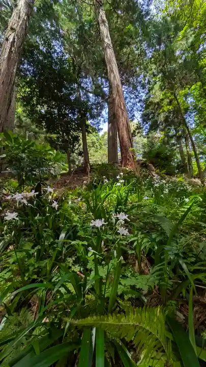 伊香具阪神社(滋賀県)