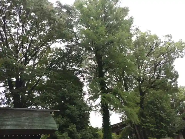 阿佐ヶ谷神明宮(東京都)