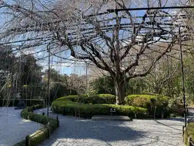 退蔵院(京都府)