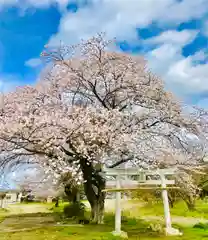 鹿嶋神社の自然