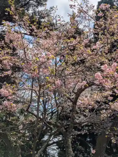 磐椅神社(福島県)