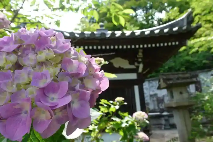 南法華寺(壷阪寺)の自然