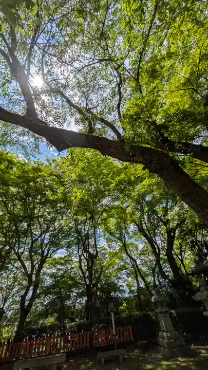 松ヶ崎大黒天 妙圓寺(妙円寺)(京都府)