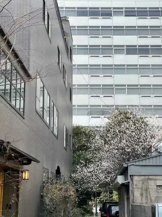 栄寿寺の{uncategorized: "未分類", other: "その他", undefined: "問題あり", building: "その他建物", grave: "お墓", sacred_gate: "鳥居", guardian: "狛犬", statue: "像", buddha: "仏像", history: "歴史", nature: "自然", garden: "庭園", animal: "動物", pagoda: "塔", temizu: "手水舎", mountain_gate: "山門・神門", sanctuary: "本殿・本堂", subordinate: "末社・摂社", art: "芸術", scenery: "景色", jizo: "地蔵", ema: "絵馬", goshuin: "御朱印", omikuji: "おみくじ", items: "授与品その他", amulet: "お守り", goshuincho: "御朱印帳", eats: "食事", festival: "お祭り", votive_dance: "神楽", shichigosan: "七五三参", wedding: "結婚式", experience: "体験その他", initially: "初詣", around: "周辺", anti_infection: "感染症対策"}
