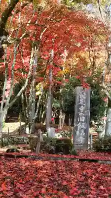 鶏足寺(滋賀県)