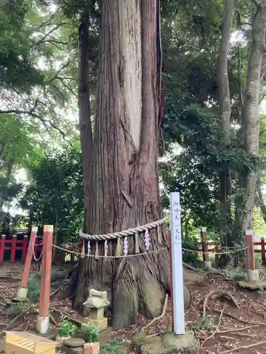 麻賀多神社奥宮(千葉県)