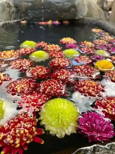 大鏑神社の手水