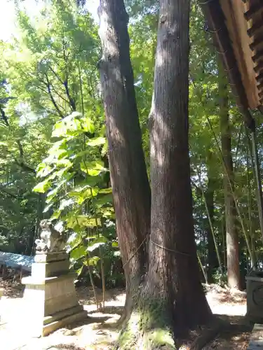 白山神社(福井県)